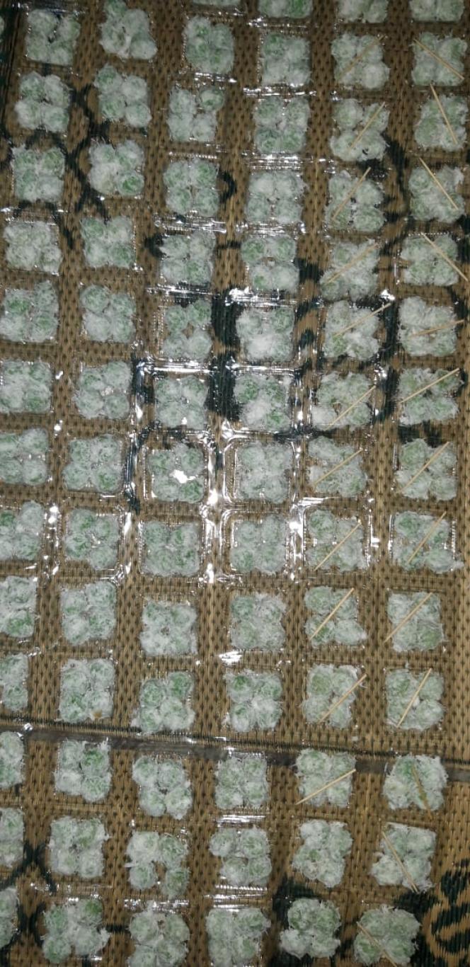 PRODUSEN JAJANAN PASAR ( KLEPON ) Padukuhan Sonoharjo