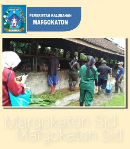VAKSIN PMK DI KANDANG KELOMPOK SAPI SUMBER REJEKI PADUKUHAN GRAJEGAN
